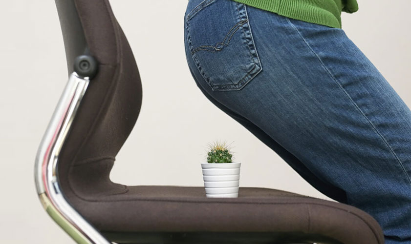 Ayurvedic Piles Treatment
